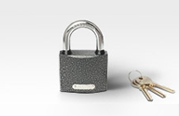 Проверка домена "Standard SSL"